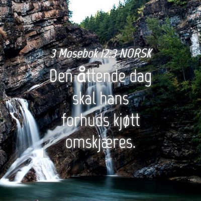 Picture 04 - 3 Mosebok 12:3 NORSK - Den åttende dag skal hans forhuds kjøtt - Bible Verse Picture