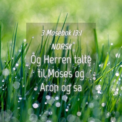 Picture 04 - 3 Mosebok 13:1 NORSK - Og Herren talte til Moses og Aron og - Bible Verse Picture