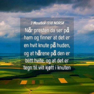 Picture 04 - 3 Mosebok 13:10 NORSK - Når presten da ser på ham og finner at det er - Bible Verse Picture