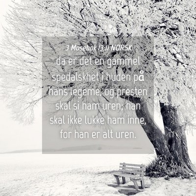 Picture 04 - 3 Mosebok 13:11 NORSK - da er det en gammel spedalskhet i huden på hans - Bible Verse Picture