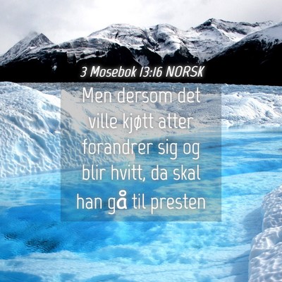Picture 04 - 3 Mosebok 13:16 NORSK - Men dersom det ville kjøtt atter forandrer sig - Bible Verse Picture