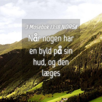 Picture 04 - 3 Mosebok 13:18 NORSK - Når nogen har en byld på sin hud, og den - Bible Verse Picture