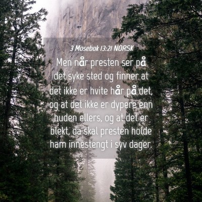 Picture 04 - 3 Mosebok 13:21 NORSK - Men når presten ser på det syke sted og finner - Bible Verse Picture