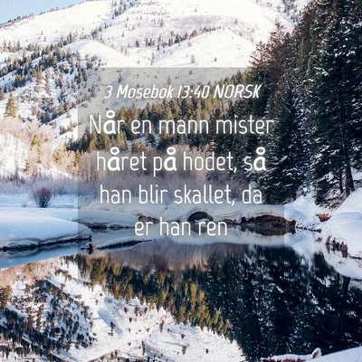 Picture 04 - 3 Mosebok 13:40 NORSK - Når en mann mister håret på hodet, så han - Bible Verse Picture