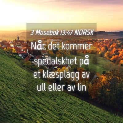 Picture 04 - 3 Mosebok 13:47 NORSK - Når det kommer spedalskhet på et klæsplagg av - Bible Verse Picture