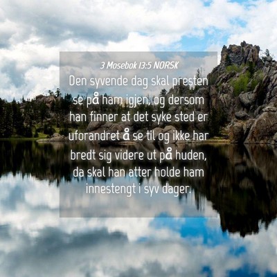 Picture 04 - 3 Mosebok 13:5 NORSK - Den syvende dag skal presten se på ham igjen, og - Bible Verse Picture
