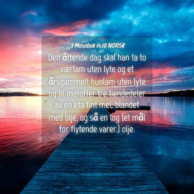 Picture 04 - 3 Mosebok 14:10 NORSK - Den åttende dag skal han ta to værlam uten lyte - Bible Verse Picture