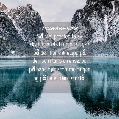 Picture 04 - 3 Mosebok 14:14 NORSK - Så skal presten ta av skyldofferets blod og - Bible Verse Picture