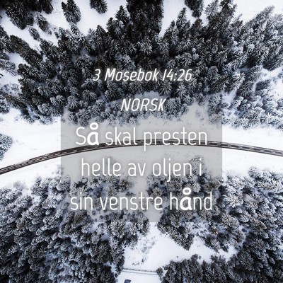 Picture 04 - 3 Mosebok 14:26 NORSK - Så skal presten helle av oljen i sin venstre - Bible Verse Picture