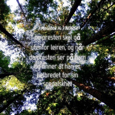 Picture 04 - 3 Mosebok 14:3 NORSK - og presten skal gå utenfor leiren, og når da - Bible Verse Picture