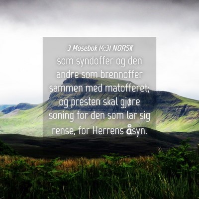 Picture 04 - 3 Mosebok 14:31 NORSK - som syndoffer og den andre som brennoffer sammen - Bible Verse Picture