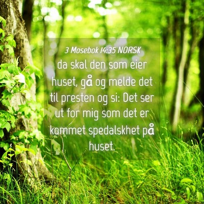 Picture 04 - 3 Mosebok 14:35 NORSK - da skal den som eier huset, gå og melde det til - Bible Verse Picture