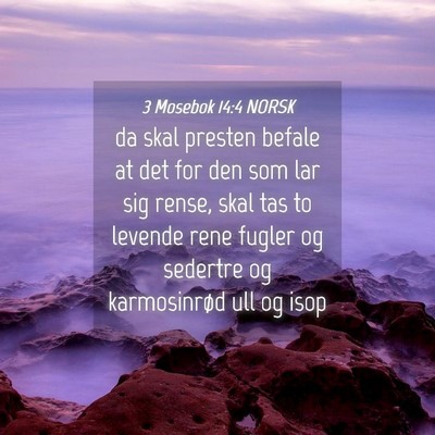 Picture 04 - 3 Mosebok 14:4 NORSK - da skal presten befale at det for den som lar sig - Bible Verse Picture
