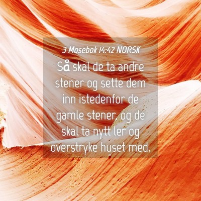 Picture 04 - 3 Mosebok 14:42 NORSK - Så skal de ta andre stener og sette dem inn - Bible Verse Picture