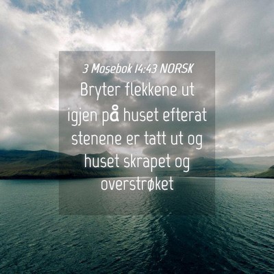 Picture 04 - 3 Mosebok 14:43 NORSK - Bryter flekkene ut igjen på huset efterat - Bible Verse Picture