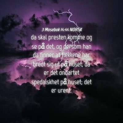 Picture 04 - 3 Mosebok 14:44 NORSK - da skal presten komme og se på det, og dersom - Bible Verse Picture