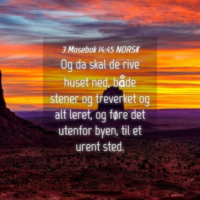 Picture 04 - 3 Mosebok 14:45 NORSK - Og da skal de rive huset ned, både stener og - Bible Verse Picture