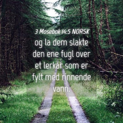 Picture 04 - 3 Mosebok 14:5 NORSK - og la dem slakte den ene fugl over et lerkar som - Bible Verse Picture