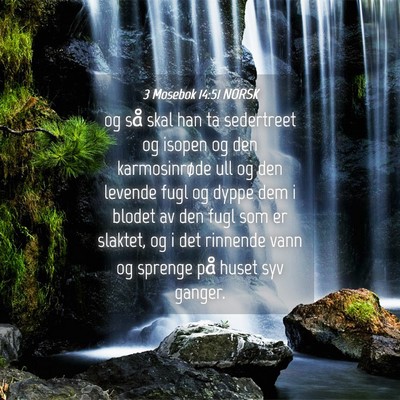 Picture 04 - 3 Mosebok 14:51 NORSK - og så skal han ta sedertreet og isopen og den - Bible Verse Picture