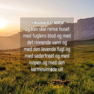 Picture 04 - 3 Mosebok 14:52 NORSK - Og han skal rense huset med fuglens blod og med - Bible Verse Picture