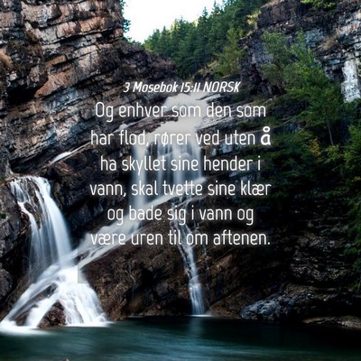 Picture 04 - 3 Mosebok 15:11 NORSK - Og enhver som den som har flod, rører ved uten - Bible Verse Picture
