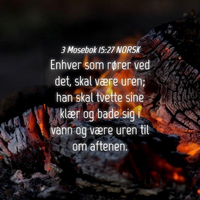 Picture 04 - 3 Mosebok 15:27 NORSK - Enhver som rører ved det, skal være uren; han - Bible Verse Picture