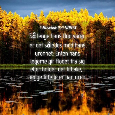 Picture 04 - 3 Mosebok 15:3 NORSK - Så lenge hans flod varer, er det således med - Bible Verse Picture