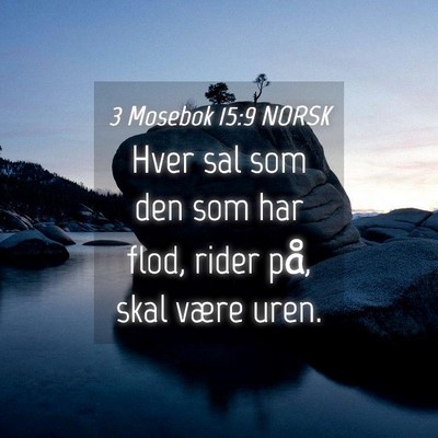 Picture 04 - 3 Mosebok 15:9 NORSK - Hver sal som den som har flod, rider på, skal - Bible Verse Picture