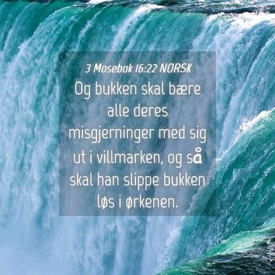 Picture 04 - 3 Mosebok 16:22 NORSK - Og bukken skal bære alle deres misgjerninger med - Bible Verse Picture