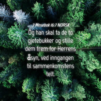 Picture 04 - 3 Mosebok 16:7 NORSK - Og han skal ta de to gjetebukker og stille dem - Bible Verse Picture