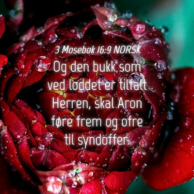 Picture 04 - 3 Mosebok 16:9 NORSK - Og den bukk som ved loddet er tilfalt Herren, - Bible Verse Picture
