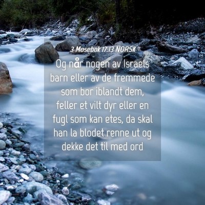 Picture 04 - 3 Mosebok 17:13 NORSK - Og når nogen av Israels barn eller av de - Bible Verse Picture
