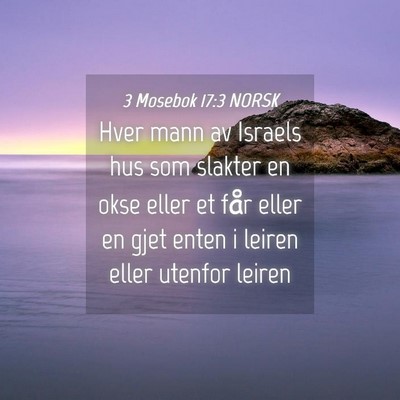 Picture 04 - 3 Mosebok 17:3 NORSK - Hver mann av Israels hus som slakter en okse - Bible Verse Picture