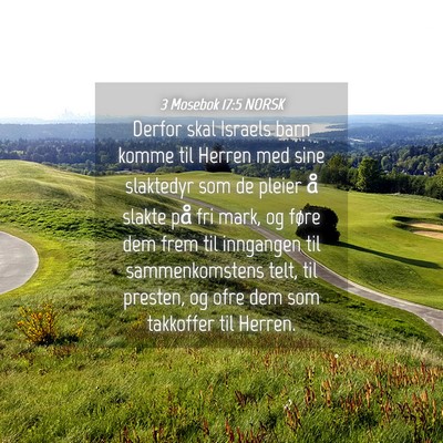 Picture 04 - 3 Mosebok 17:5 NORSK - Derfor skal Israels barn komme til Herren med - Bible Verse Picture