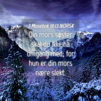 Picture 04 - 3 Mosebok 18:13 NORSK - Din mors søster skal du ikke ha omgang med; for - Bible Verse Picture