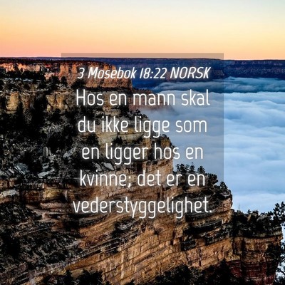 Picture 04 - 3 Mosebok 18:22 NORSK - Hos en mann skal du ikke ligge som en ligger hos - Bible Verse Picture