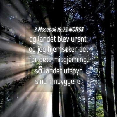 Picture 04 - 3 Mosebok 18:25 NORSK - og landet blev urent, og jeg hjemsøker det for - Bible Verse Picture