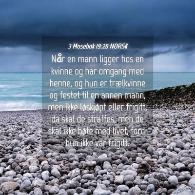 Picture 04 - 3 Mosebok 19:20 NORSK - Når en mann ligger hos en kvinne og har omgang - Bible Verse Picture
