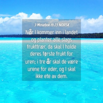 Picture 04 - 3 Mosebok 19:23 NORSK - Når I kommer inn i landet og planter alle slags - Bible Verse Picture