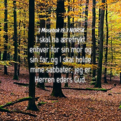 Picture 04 - 3 Mosebok 19:3 NORSK - I skal ha ærefrykt enhver for sin mor og sin - Bible Verse Picture