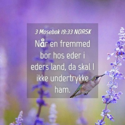 Picture 04 - 3 Mosebok 19:33 NORSK - Når en fremmed bor hos eder i eders land, da - Bible Verse Picture