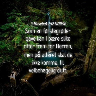 Picture 04 - 3 Mosebok 2:12 NORSK - Som en førstegrøde-gave kan I bære slike offer - Bible Verse Picture