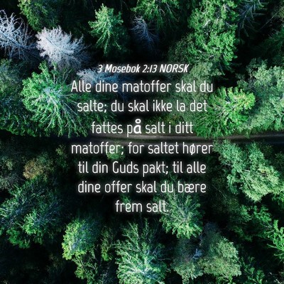 Picture 04 - 3 Mosebok 2:13 NORSK - Alle dine matoffer skal du salte; du skal ikke la - Bible Verse Picture