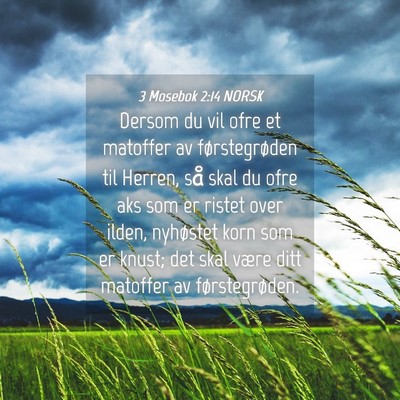 Picture 04 - 3 Mosebok 2:14 NORSK - Dersom du vil ofre et matoffer av førstegrøden - Bible Verse Picture