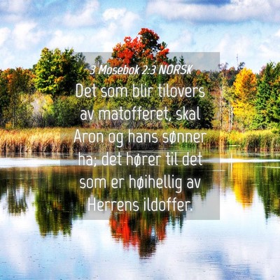 Picture 04 - 3 Mosebok 2:3 NORSK - Det som blir tilovers av matofferet, skal Aron og - Bible Verse Picture