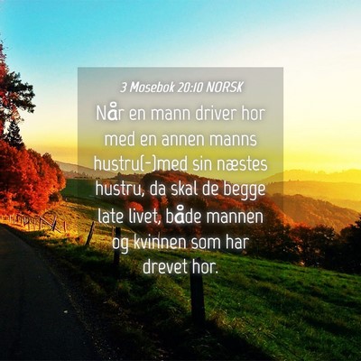 Picture 04 - 3 Mosebok 20:10 NORSK - Når en mann driver hor med en annen manns - Bible Verse Picture