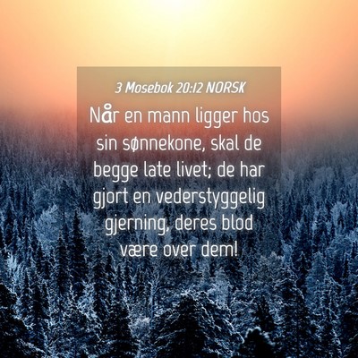 Picture 04 - 3 Mosebok 20:12 NORSK - Når en mann ligger hos sin sønnekone, skal de - Bible Verse Picture