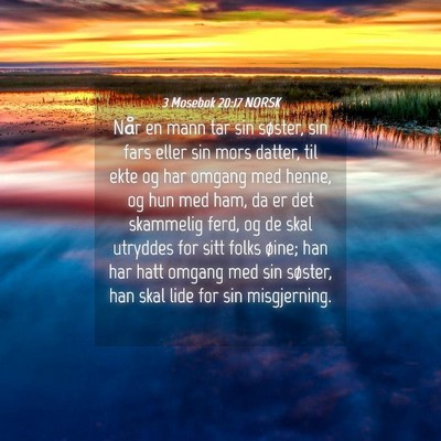 Picture 04 - 3 Mosebok 20:17 NORSK - Når en mann tar sin søster, sin fars eller sin - Bible Verse Picture