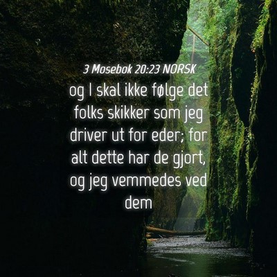 Picture 04 - 3 Mosebok 20:23 NORSK - og I skal ikke følge det folks skikker som jeg - Bible Verse Picture