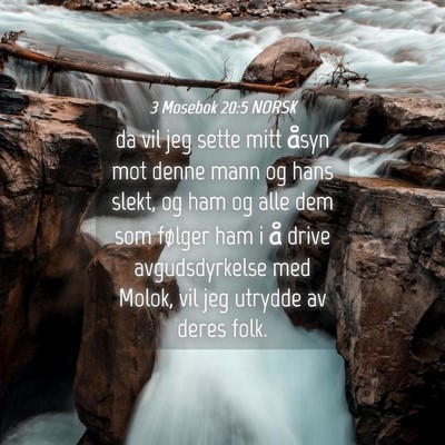 Picture 04 - 3 Mosebok 20:5 NORSK - da vil jeg sette mitt åsyn mot denne mann og - Bible Verse Picture
